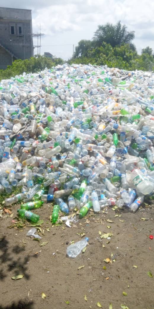 Field of collected plastic bottles awaiting recovery